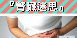 『腎臟迷思』點解個腎咁重要?