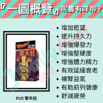 擎天柱『一圖概覽』呢隻有咩用?